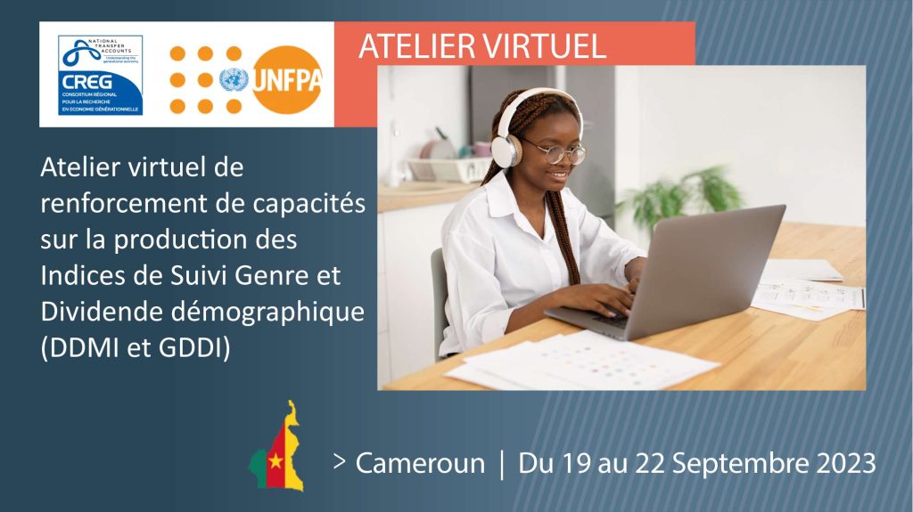 Renforcement de capacités des experts Camerounais sur la méthodologie du DDMI / GDDI